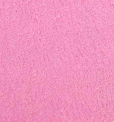 Balaca Rosa