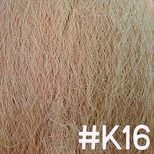 #K16
